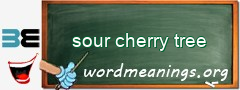 WordMeaning blackboard for sour cherry tree